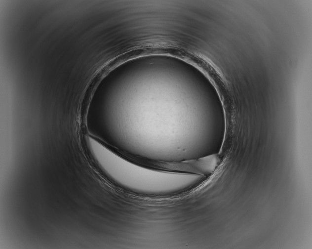 X0000092301065200710121443