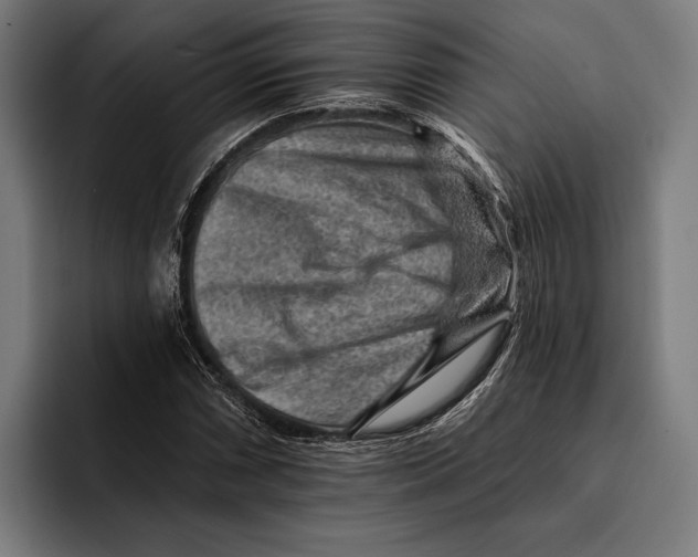 X0000092301066200710121443