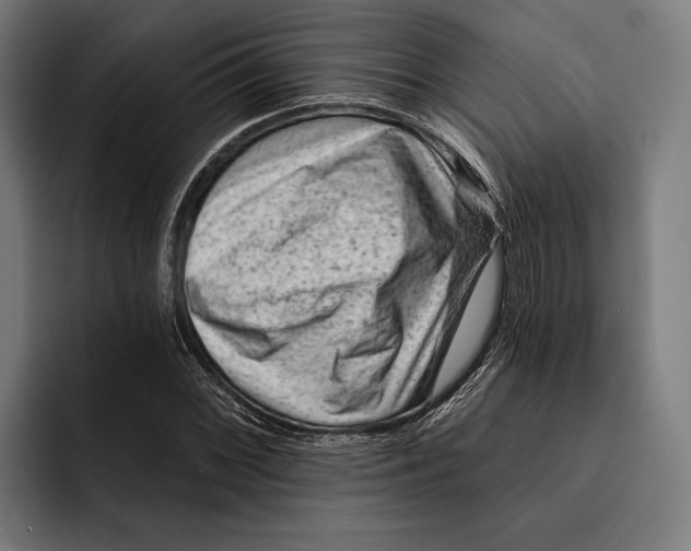 X0000092301068200710121443