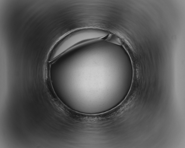 X0000092301069200710121443