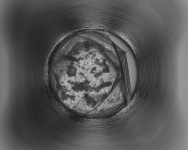 X0000092301071200710121443