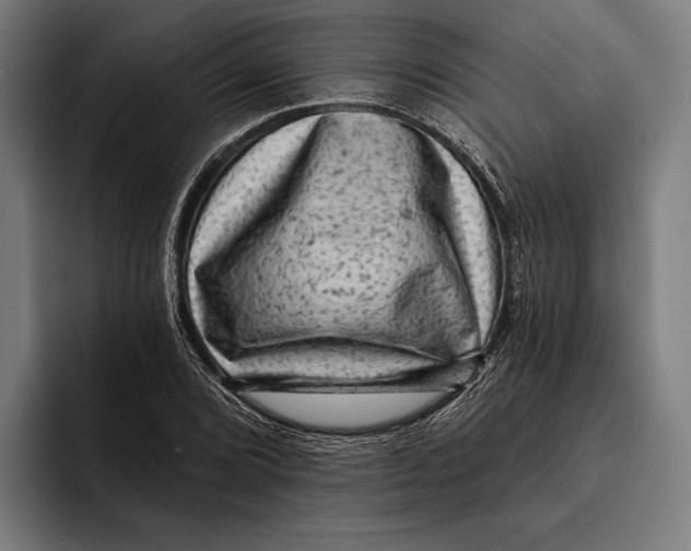 X0000092301072200710121443