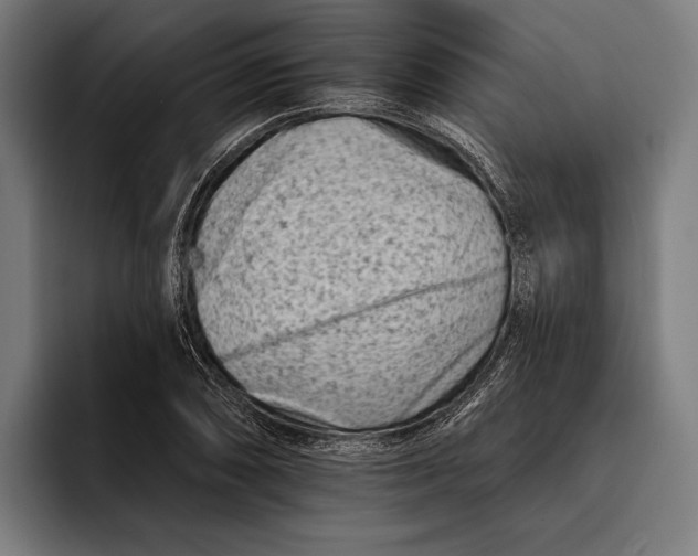 X0000092301074200710121443