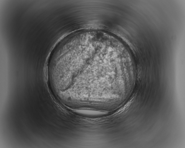 X0000092301075200710121443