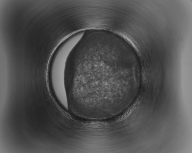 X0000092301077200710121442