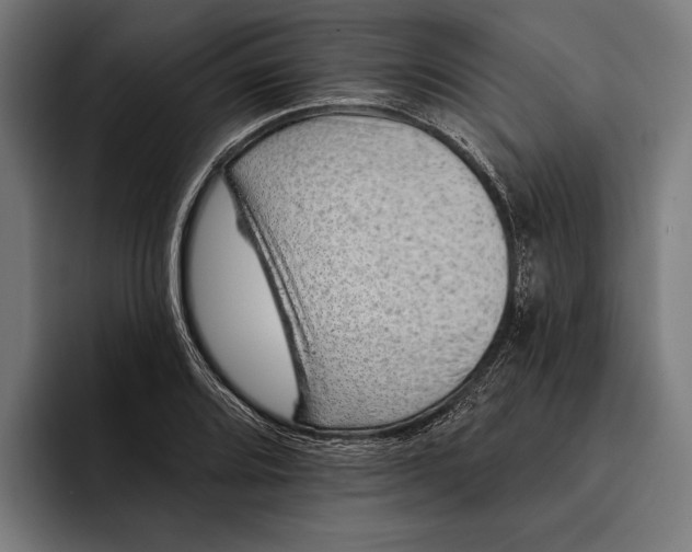 X0000092301080200710121442