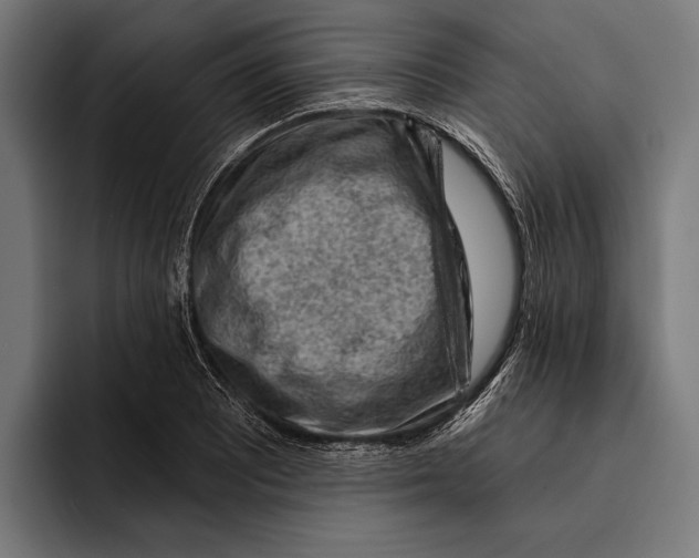 X0000092301081200710121442