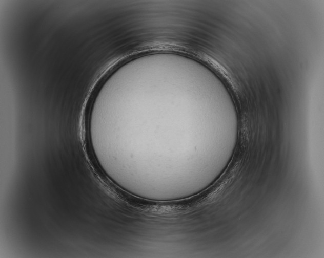 X0000092301082200710121442