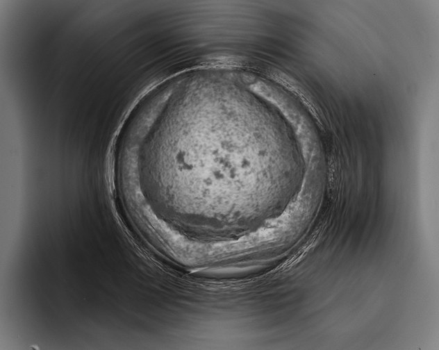 X0000092301083200710121442