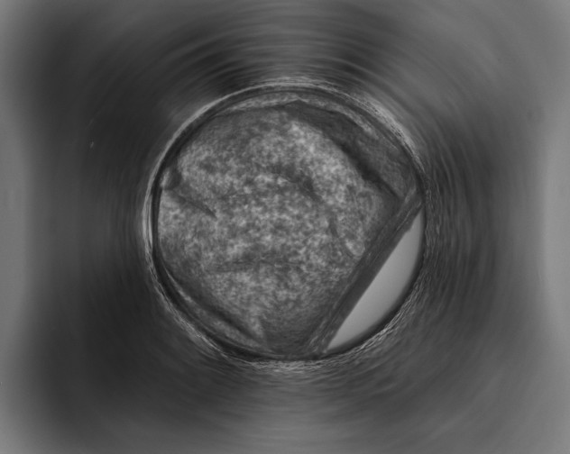 X0000092301084200710121442