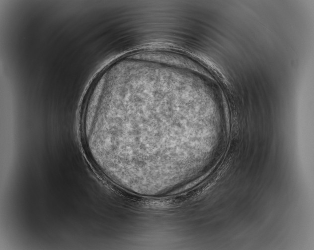 X0000092301086200710121442