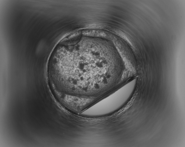 X0000092301087200710121442