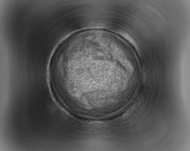 X0000092301088200710121442