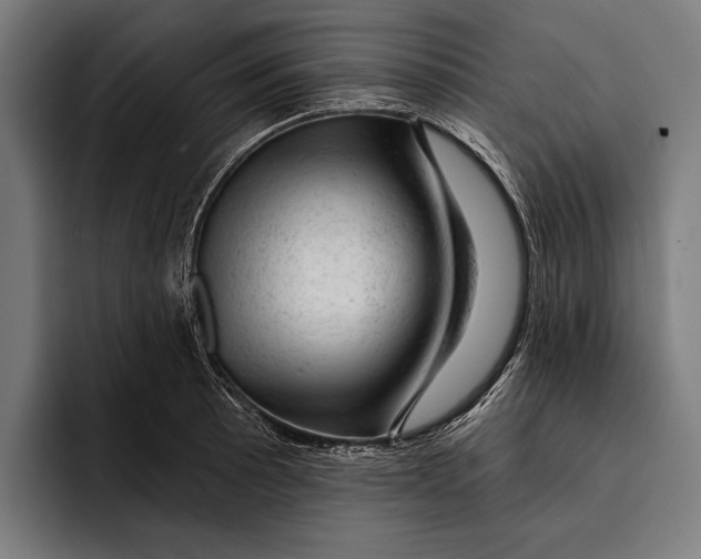 X0000092301089200710121442