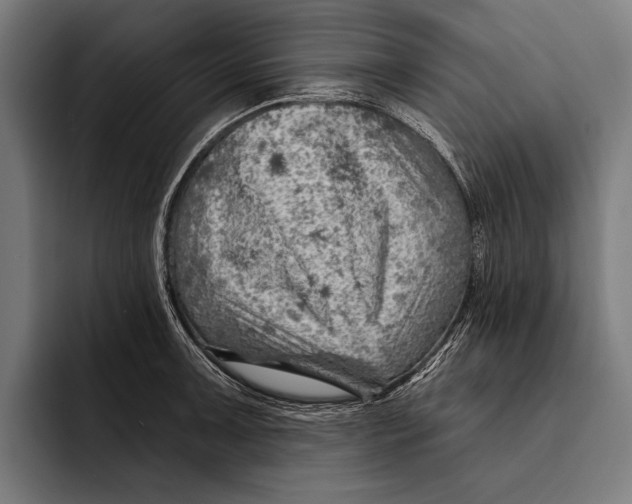 X0000092301091200710121442