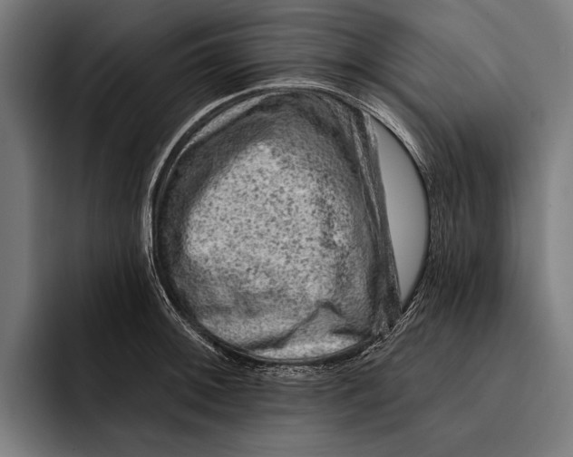 X0000092301092200710121442