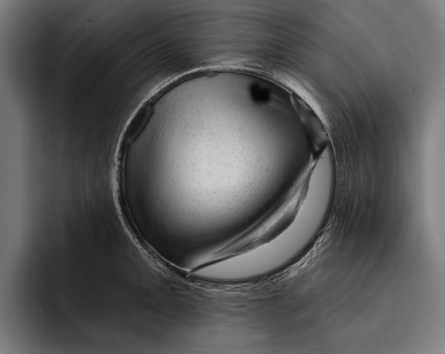 X0000092301093200710121442