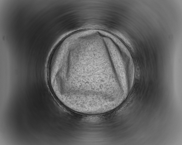 X0000092301094200710121442