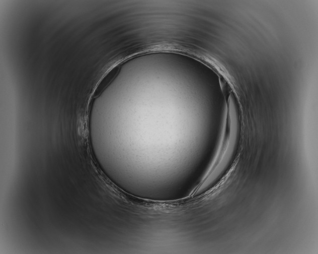 X0000092301097200710121442