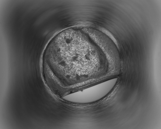 X0000092301099200710121442