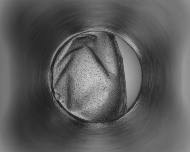 X0000092301100200710121442