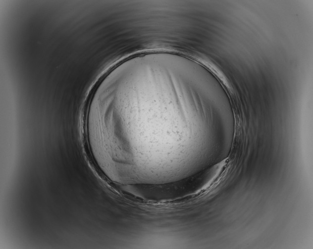 X0000092301101200710121442