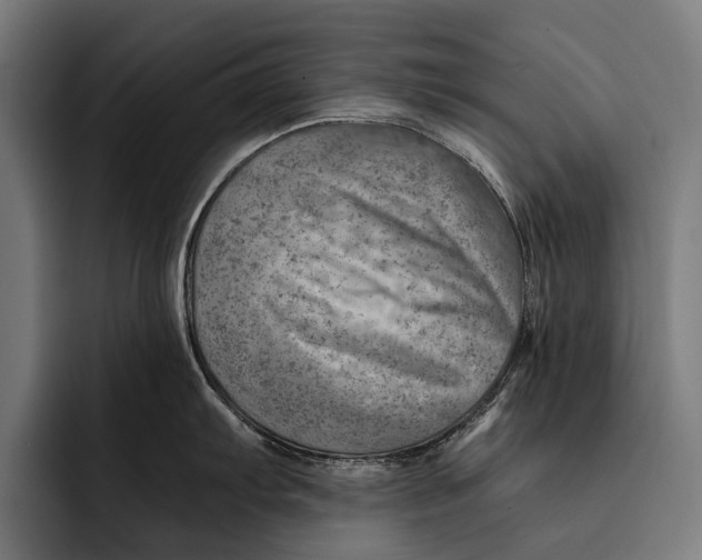 X0000092301103200710121442