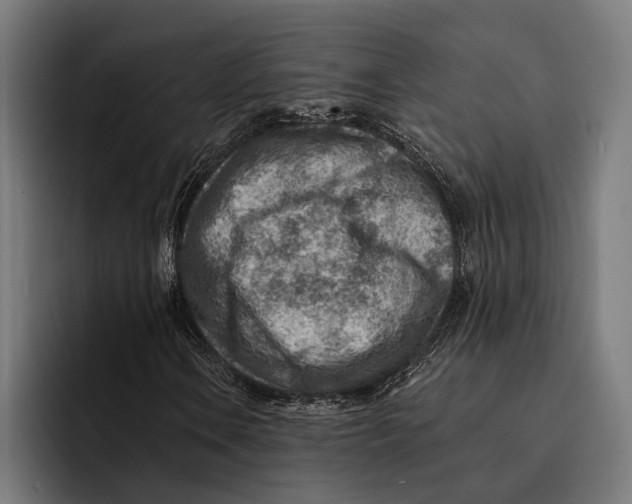 X0000092301106200710121442