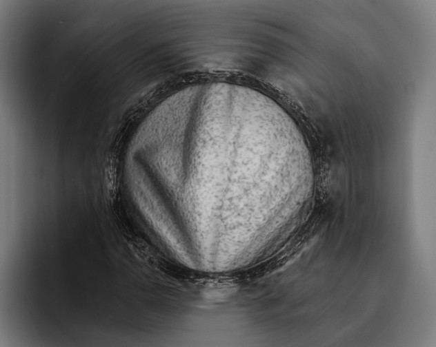 X0000092301110200710121442