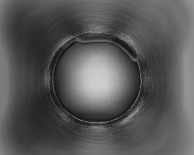 X0000092301114200710121442