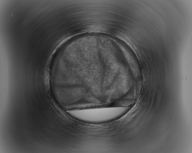 X0000092301115200710121442