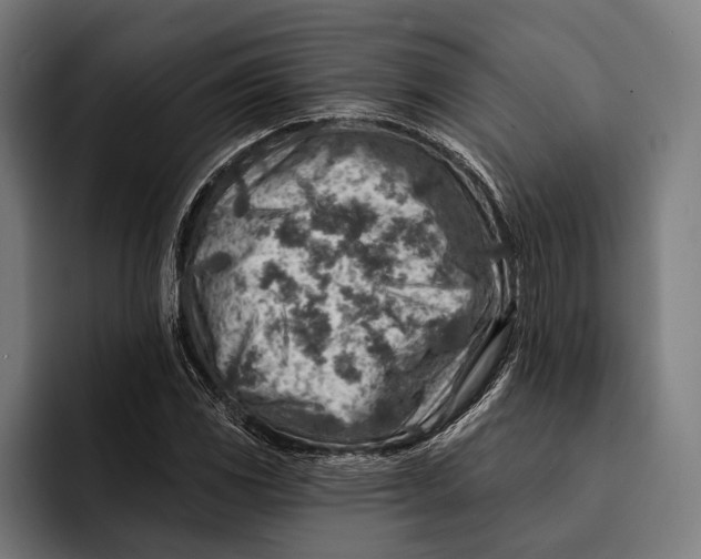 X0000092301117200710121442