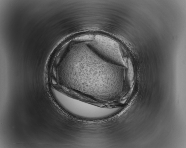 X0000092301118200710121442