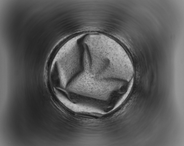 X0000092301119200710121442