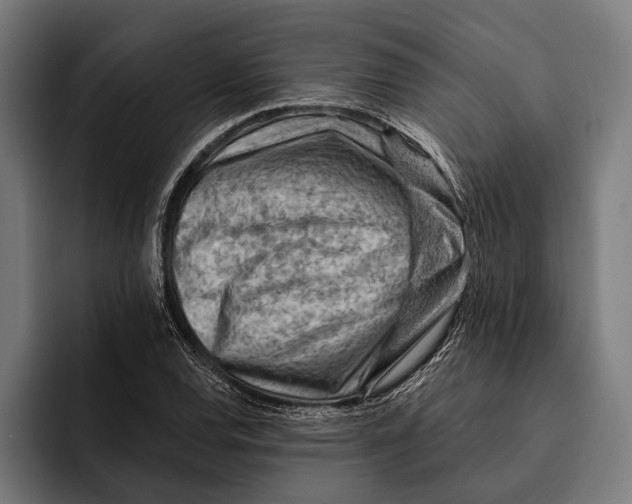 X0000092301120200710121442