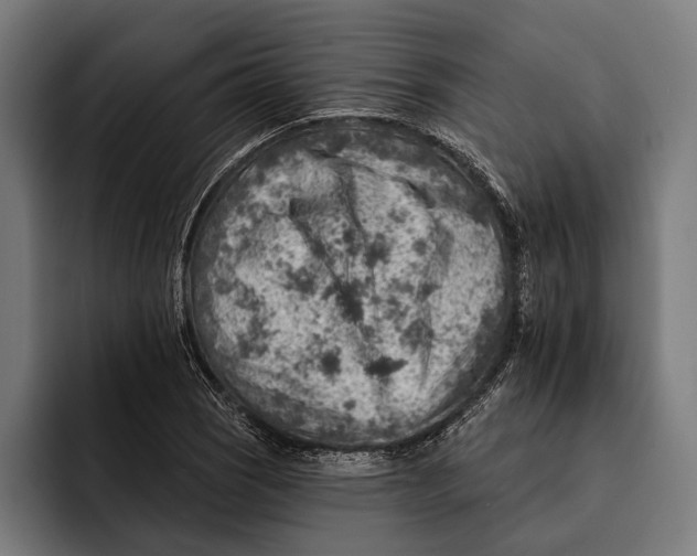 X0000092301121200710121442