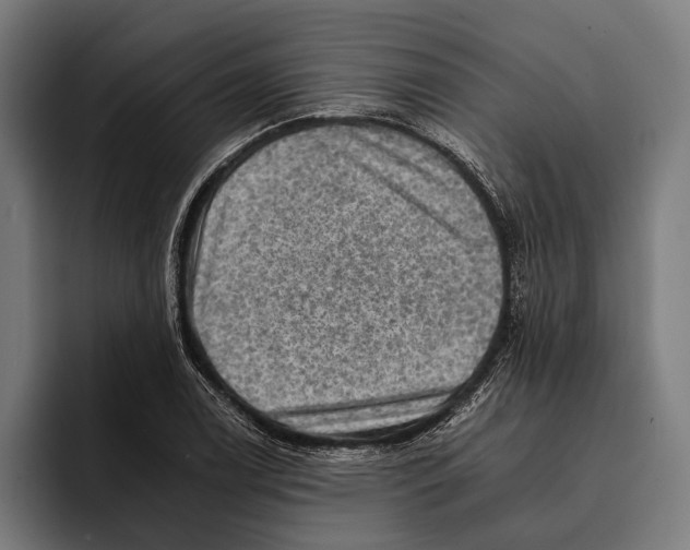 X0000092301122200710121442