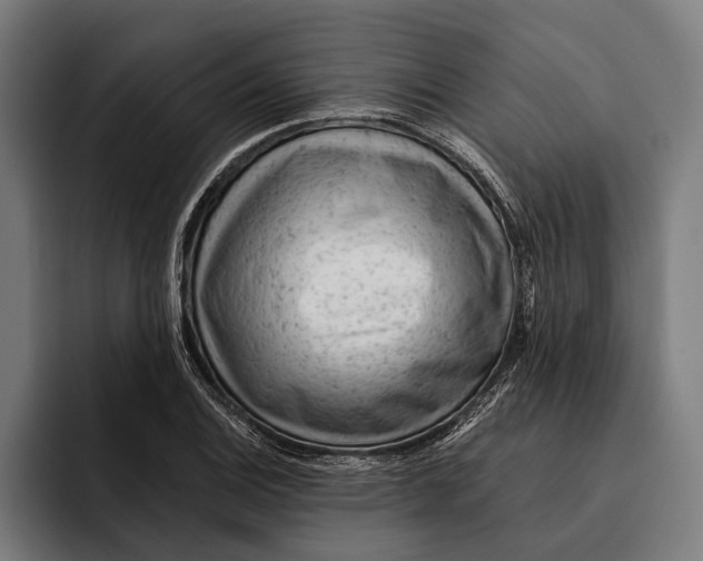 X0000092301124200710121442