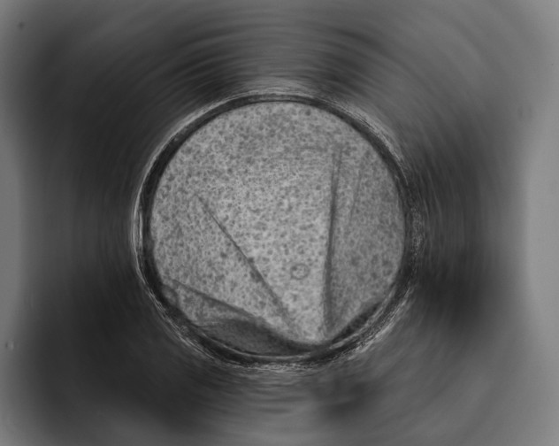 X0000092301125200710121442