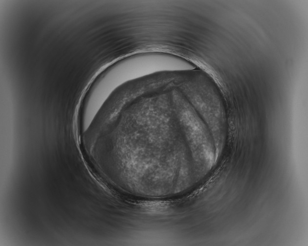 X0000092301127200710121442