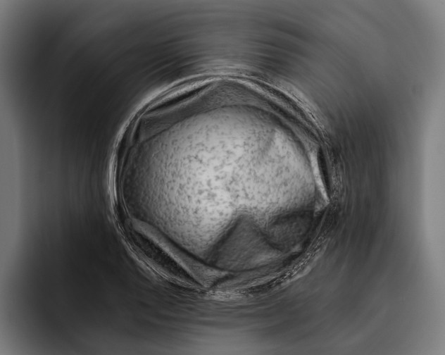 X0000092301128200710121442