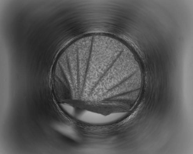 X0000092301129200710121442