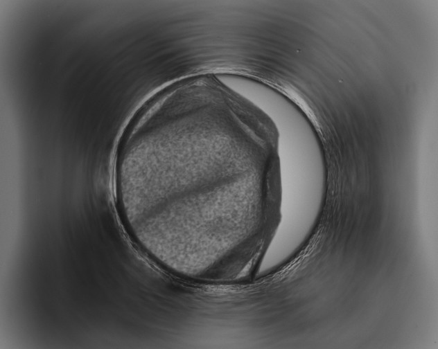 X0000092301132200710121442