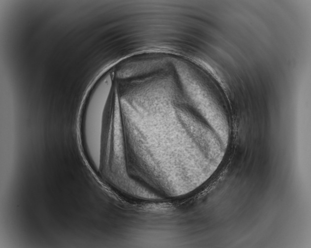 X0000092301133200710121442