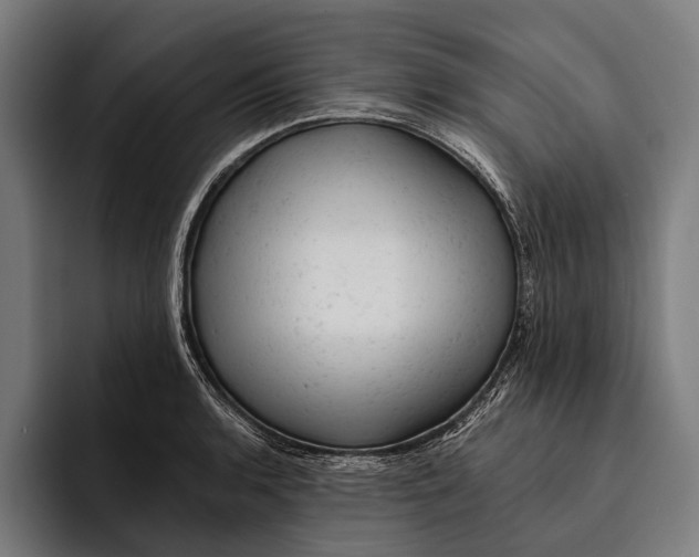 X0000092301136200710121442