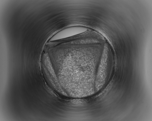 X0000092301137200710121442