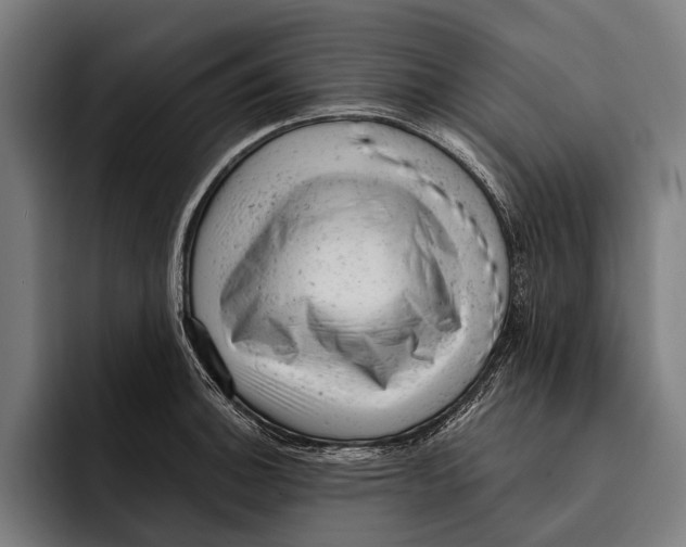 X0000092301140200710121442