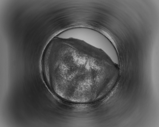 X0000092301141200710121442