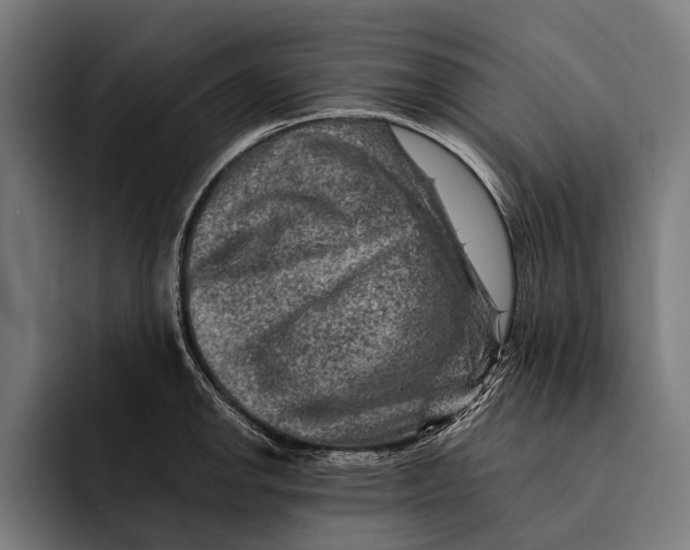 X0000092301142200710121442