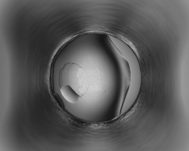 X0000092301146200710121442